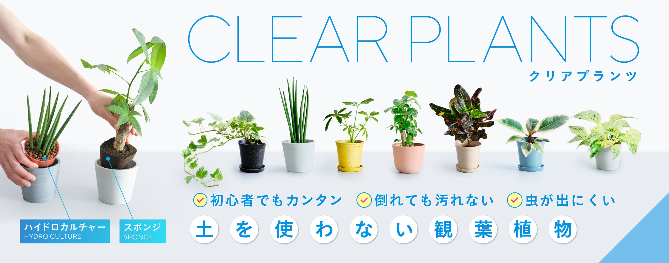 クリアプランツ