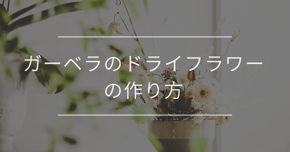 ガーベラのドライフラワーの作り方｜うまく作るコツとおしゃれな飾り方