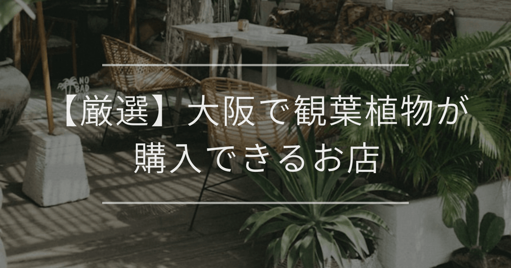 【厳選】大阪で観葉植物が購入できるお店