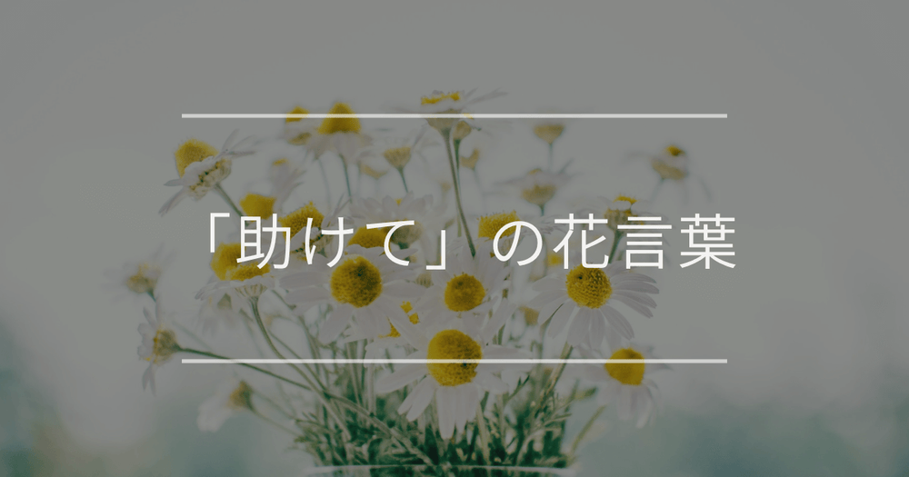 「助けて」の花言葉｜「助けてほしい」「あなたを助ける」の意味をもつ花言葉20選