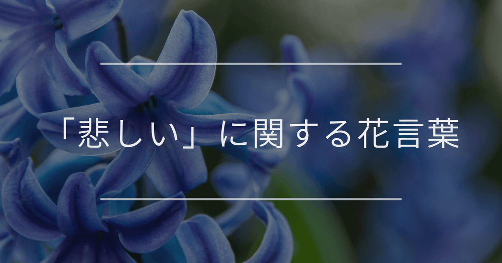「悲しい」に関する花言葉｜愛や別れの悲しみを表現する花言葉20選