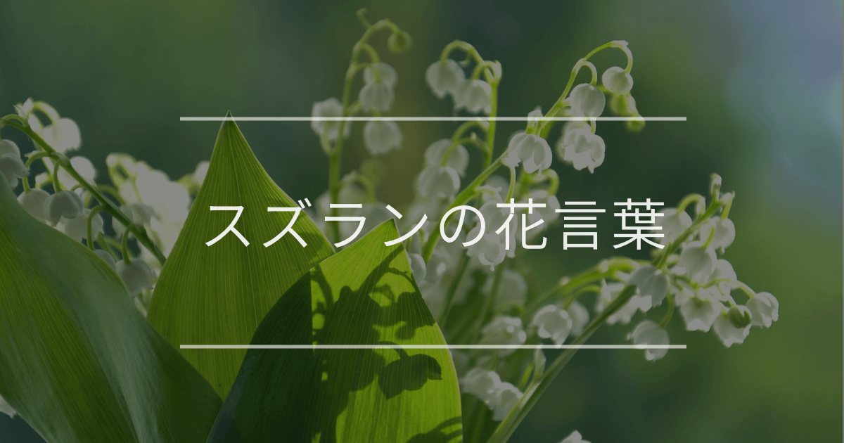 スズランの花言葉｜色別の花言葉や誕生花、名前の由来