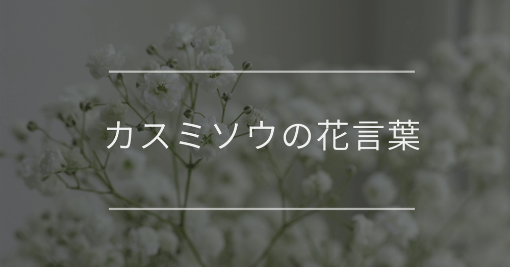 カスミソウの花言葉｜色別や誕生花、名前の由来