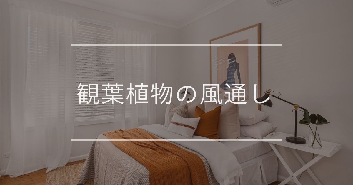 観葉植物の風通しが大切な理由｜悪いときの対策も徹底解説