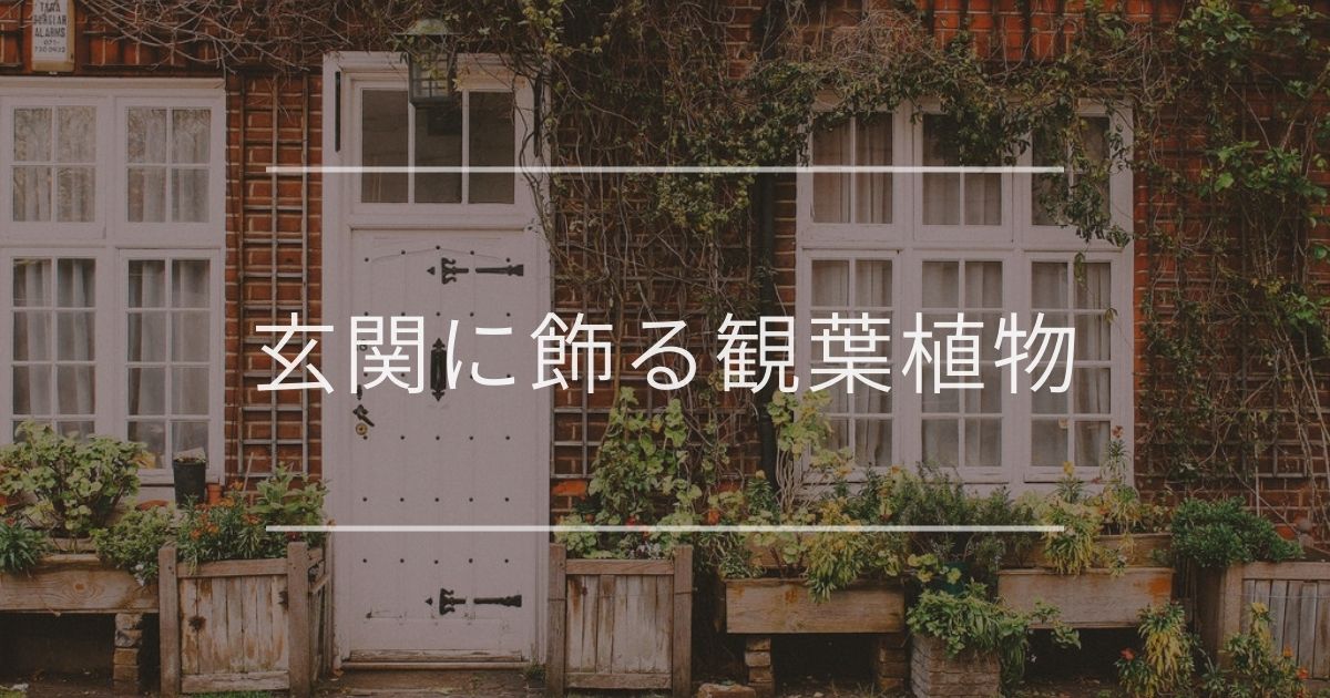 玄関におすすめの観葉植物15選｜風水効果・日陰別