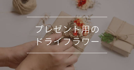 プレゼントにドライフラワーは喜ばれる｜おすすめや注意点を紹介