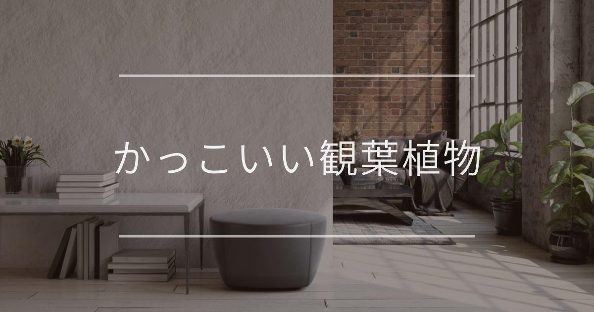 かっこいい観葉植物｜おすすめと飾り方のコツについて