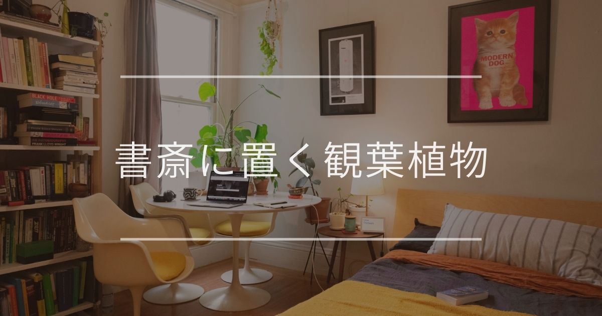 書斎に置く観葉植物