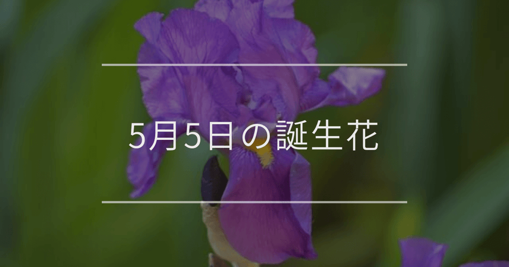 5月5日の誕生花：アイリス・オジギソウの花言葉など