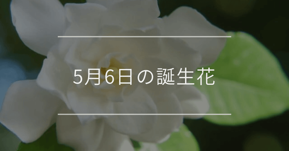 5月6日の誕生花：クチナシ・シランの花言葉など