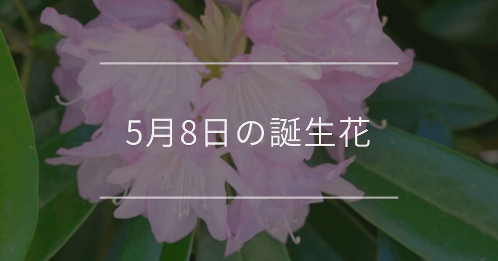 5月8日の誕生花：シャクナゲ・ベルフラワーの花言葉など