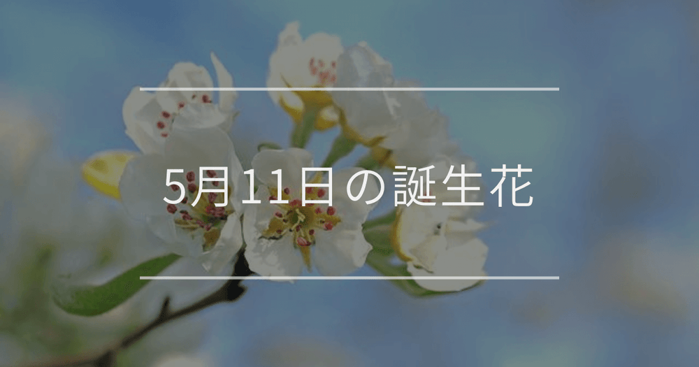 5月11日の誕生花：リンゴ・ナスタチウムの花言葉など