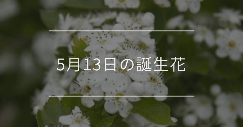 5月13日の誕生花：サンザシ・ハナビシソウの花言葉など