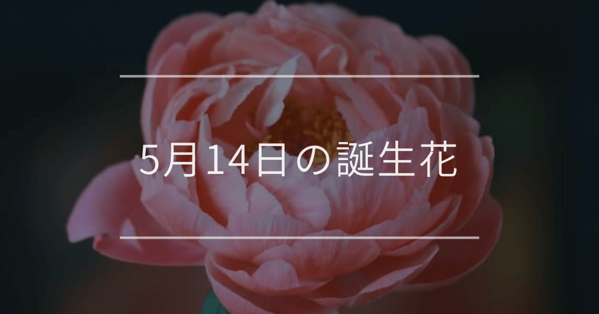 5月14日の誕生花