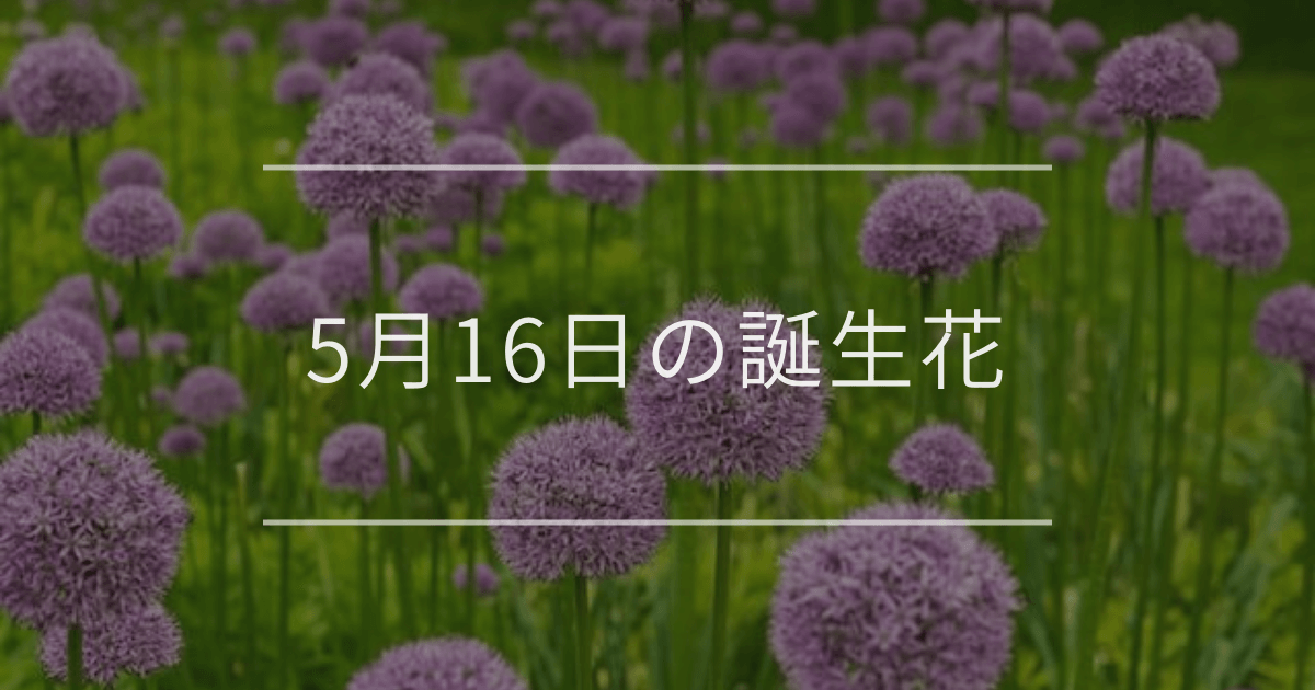 5月16日の誕生花