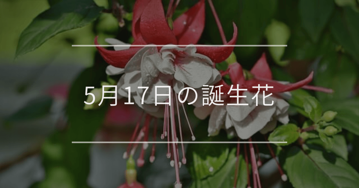 5月17日の誕生花