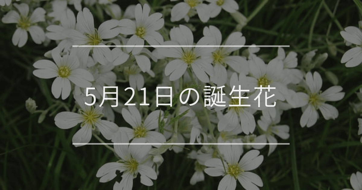 5月21日の誕生花