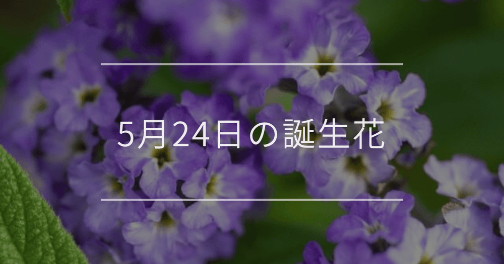 5月24日の誕生花：ヘリオトロープ・スズランの花言葉など