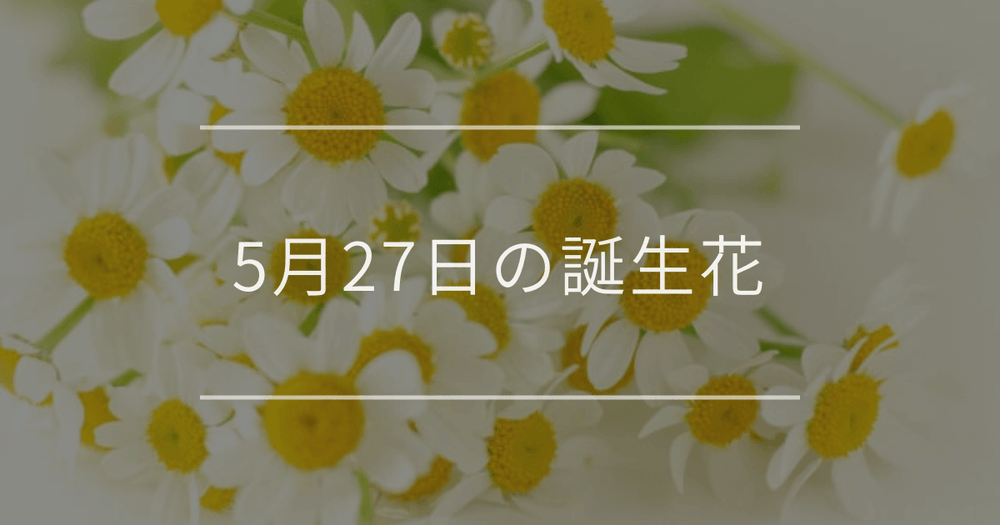 5月27日の誕生花：マトリカリア・エビネの花言葉など