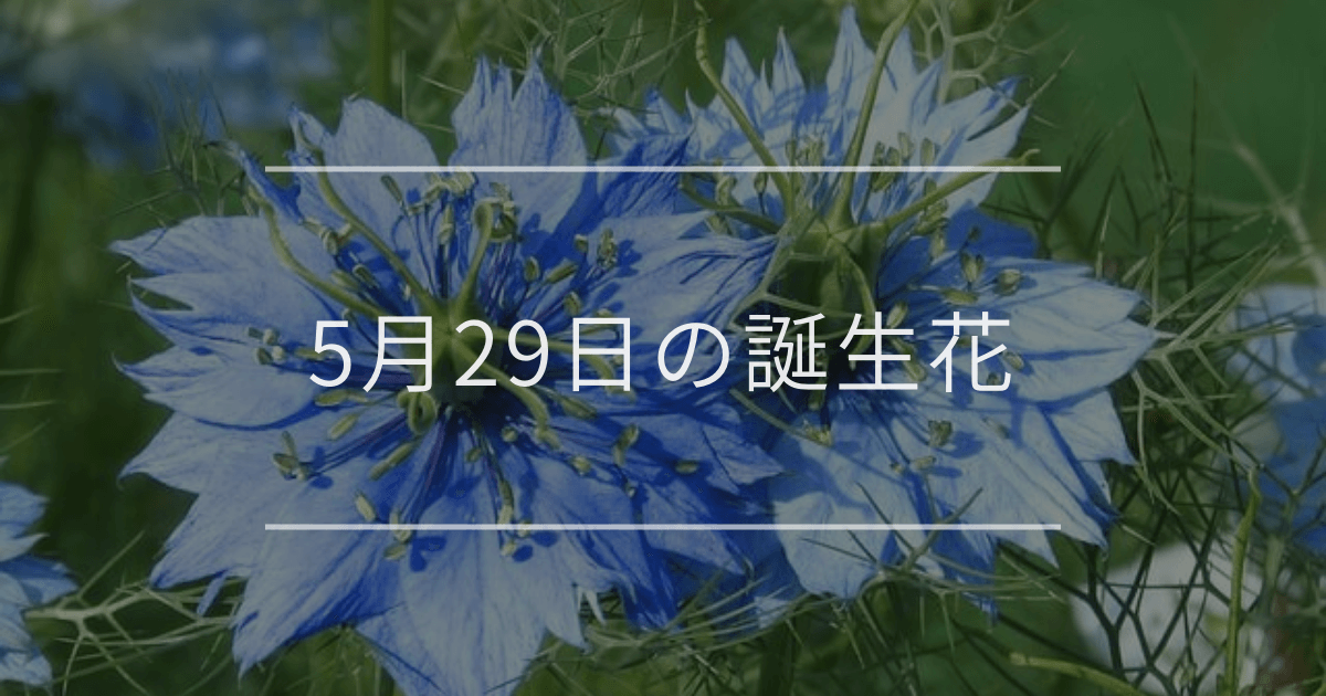 5月29日の誕生花