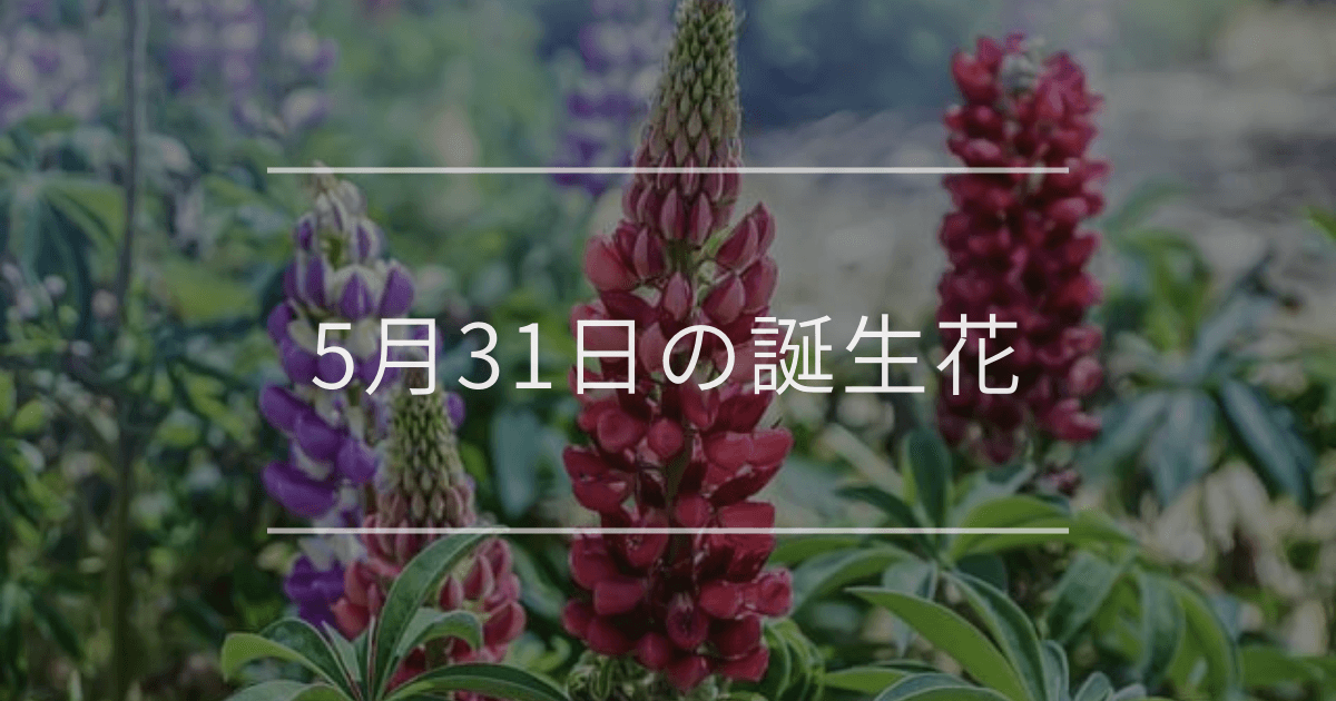 5月31日の誕生花