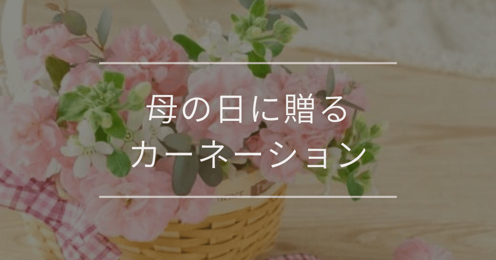 母の日に贈るカーネーション｜おすすめと気を付けたい色