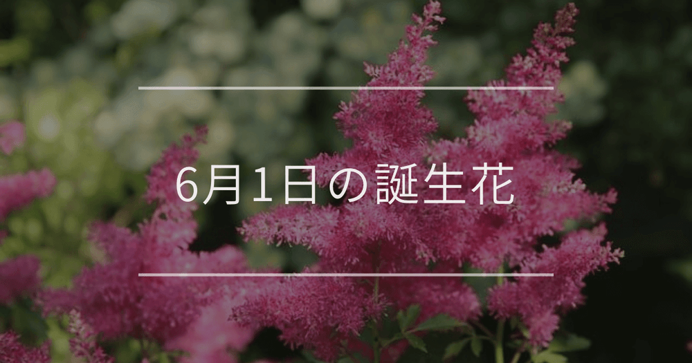 6月1日の誕生花：アスチルベ・カスミソウの花言葉など