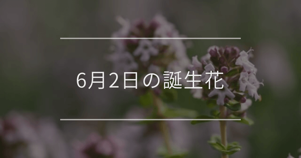 6月2日の誕生花：タイム・ニーレンベルギアの花言葉など
