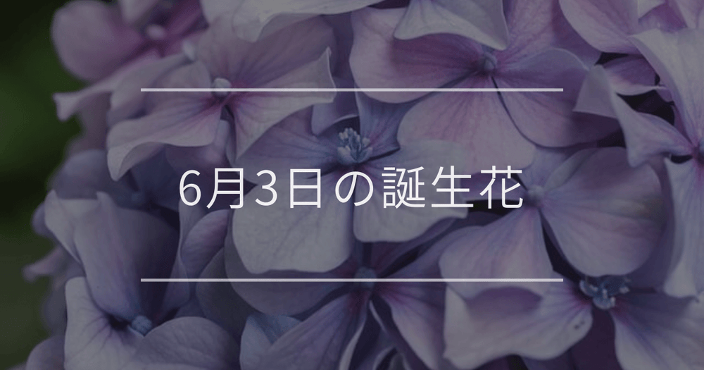6月3日の誕生花：アジサイ・スイカズラの花言葉など