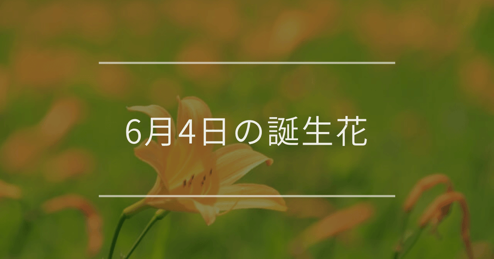 6月4日の誕生花：ニッコウキスゲ・ウツギの花言葉など