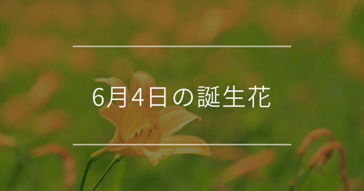6月4日の誕生花：ニッコウキスゲ・ウツギの花言葉など