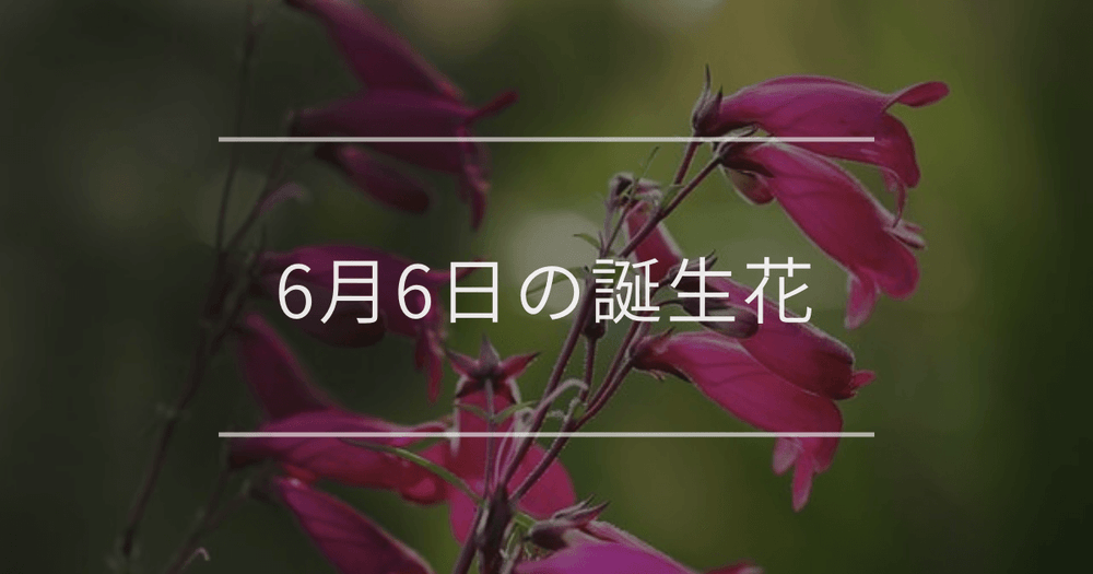 6月6日の誕生花：ペンステモン・アイリスの花言葉など