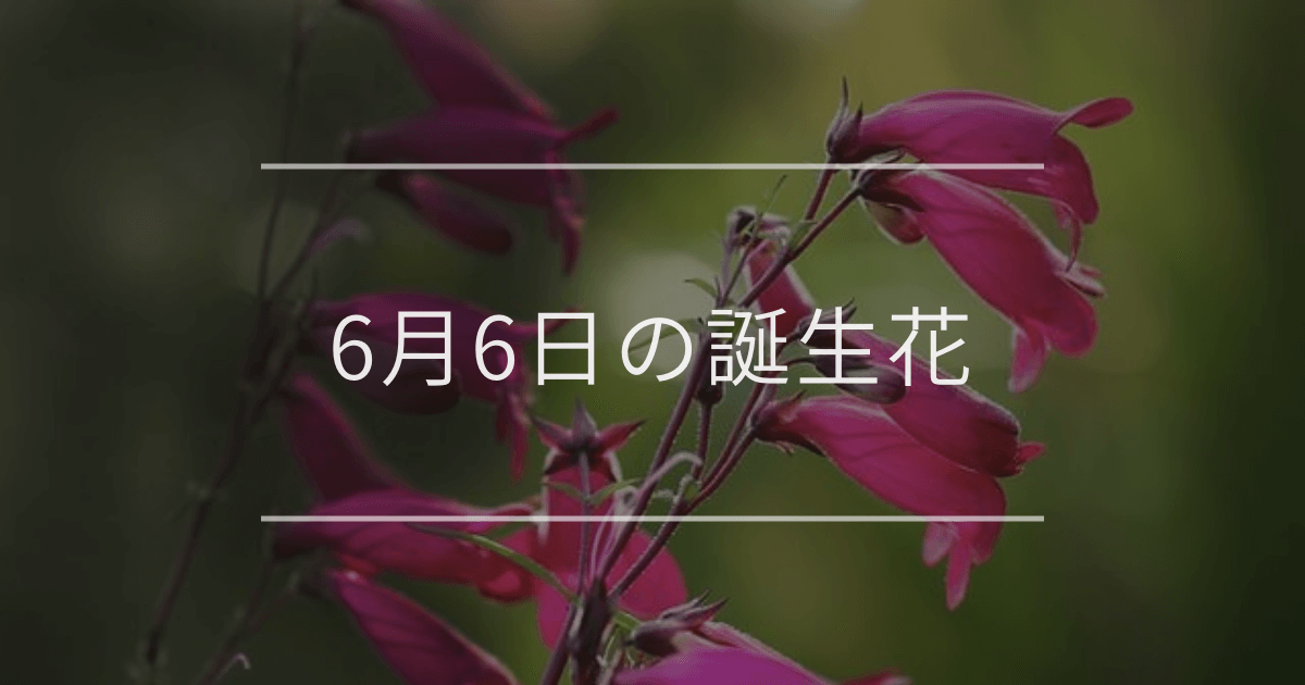6月6日の誕生花