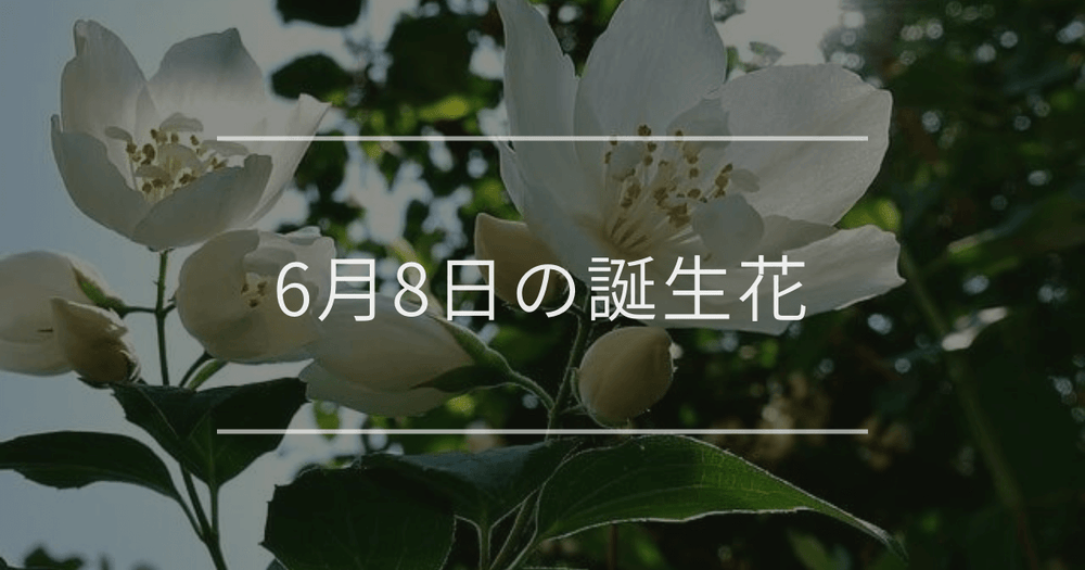 6月8日の誕生花：ジャスミン・タイサンボクの花言葉など