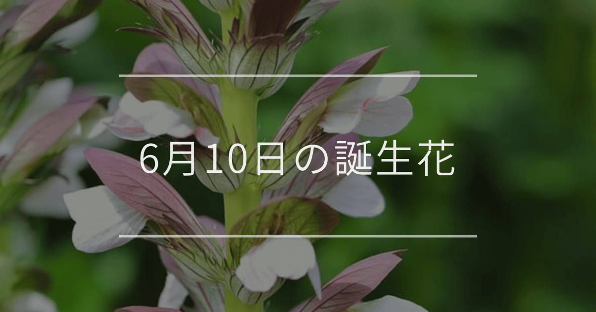 6月10日の誕生花