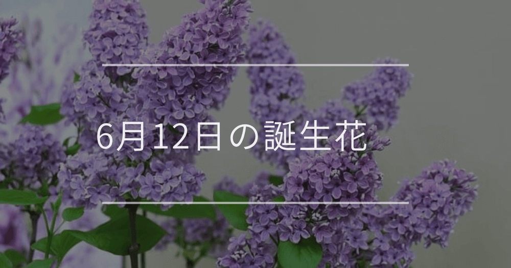 6月12日の誕生花：ライラック・ユッカの花言葉など