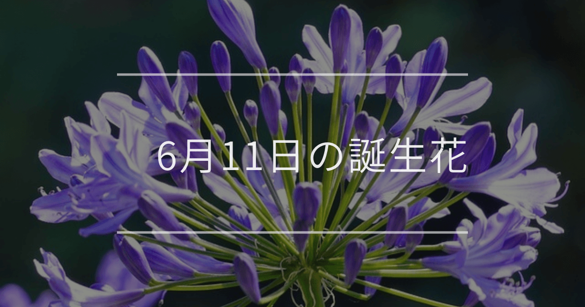 6月11日の誕生花