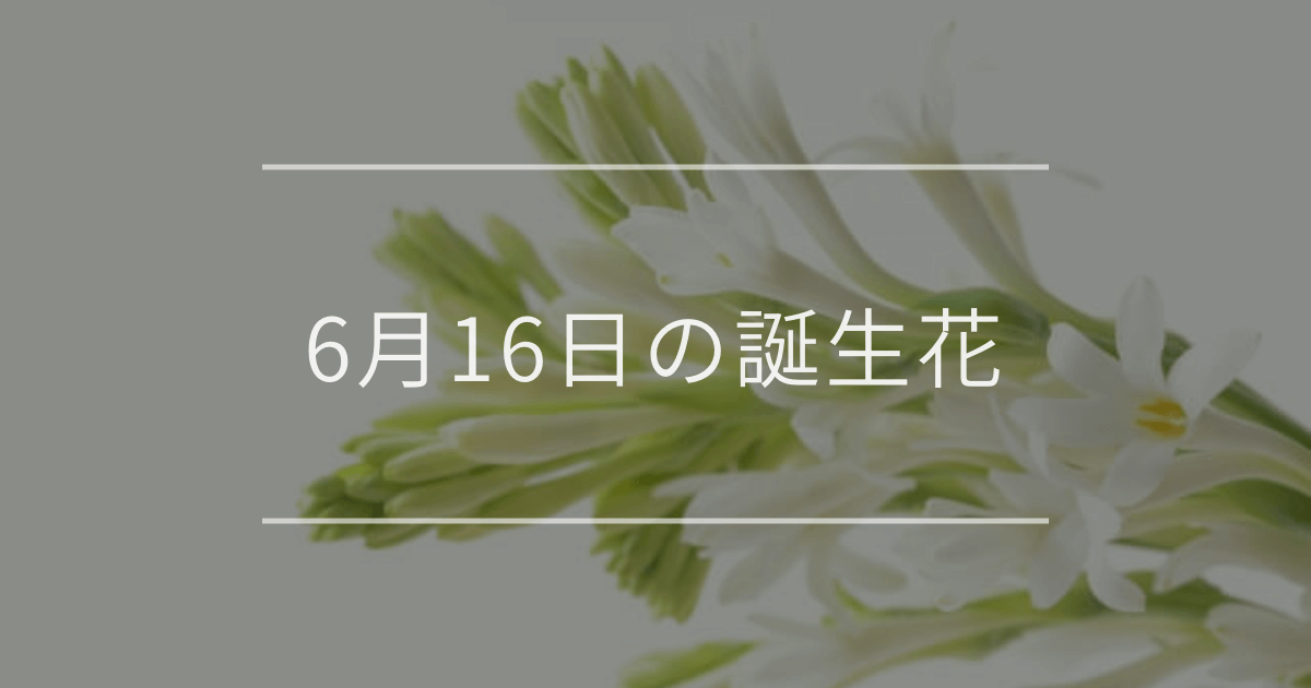 6月16日の誕生花