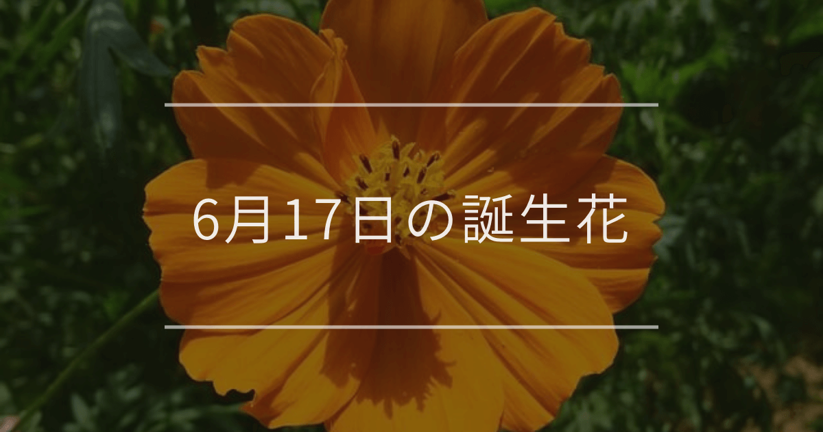 6月17日の誕生花