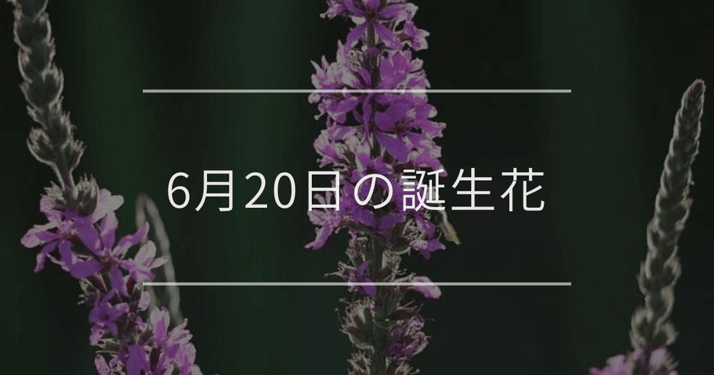 6月20日の誕生花：ベロニカ・クリ(栗)の花言葉など