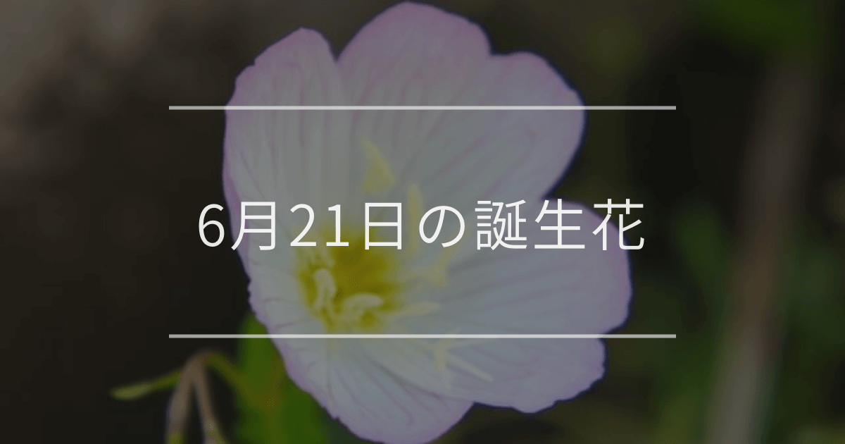 6月21日の誕生花