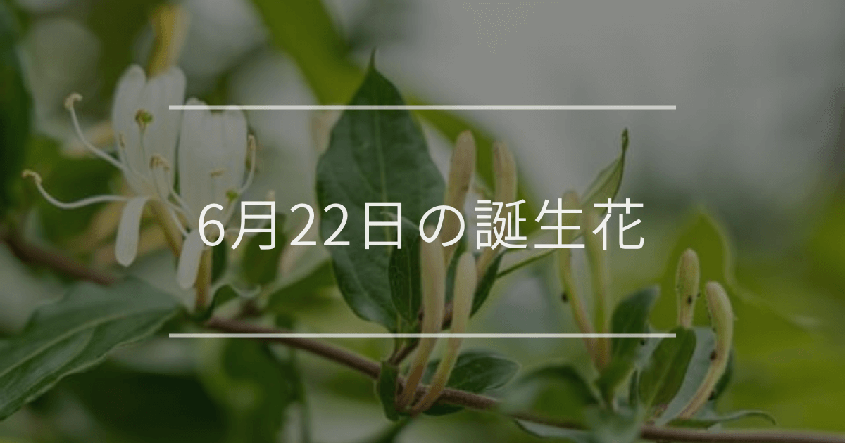 6月22日の誕生花