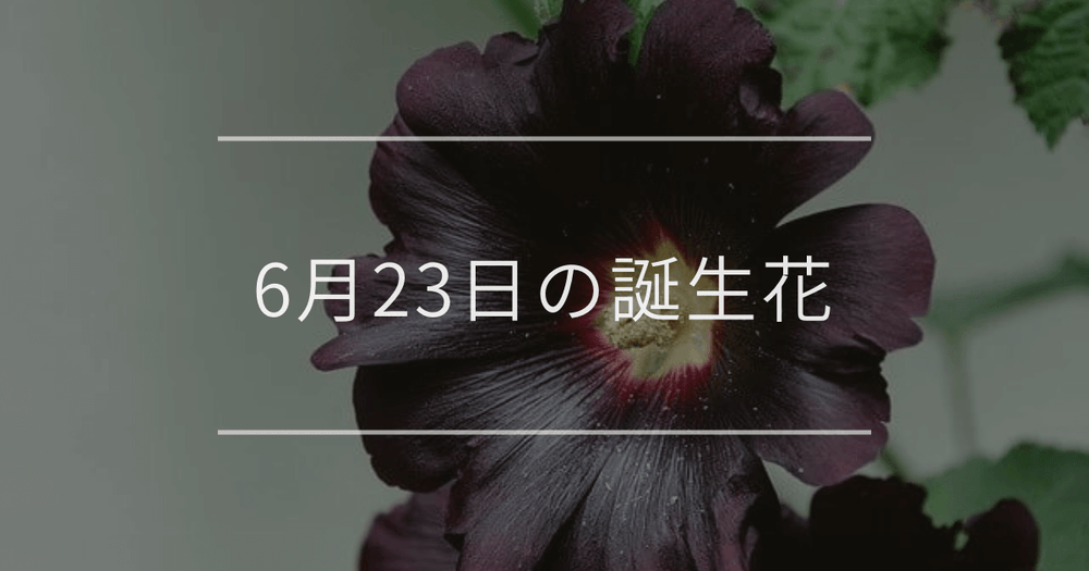 6月23日の誕生花：タチアオイ・ミヤコワスレの花言葉など