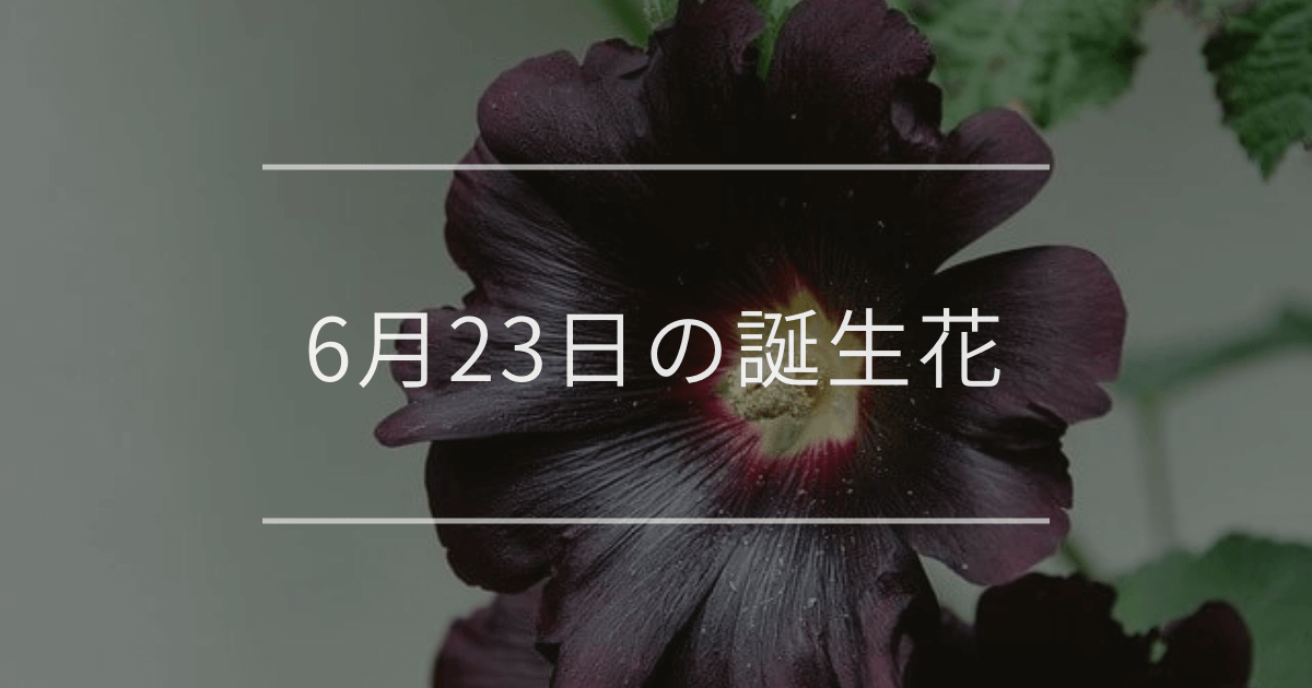 6月23日の誕生花