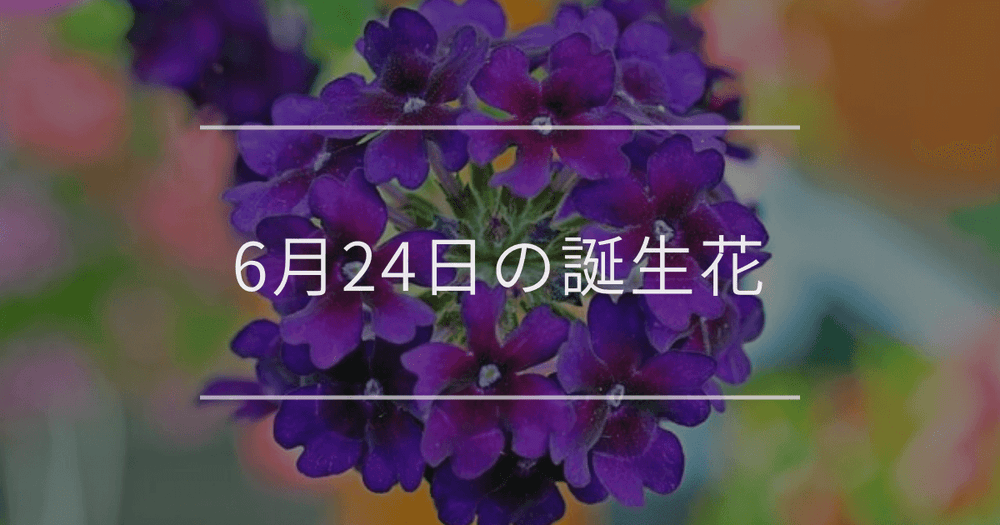 6月24日の誕生花：バーベナ・オトギリソウの花言葉など