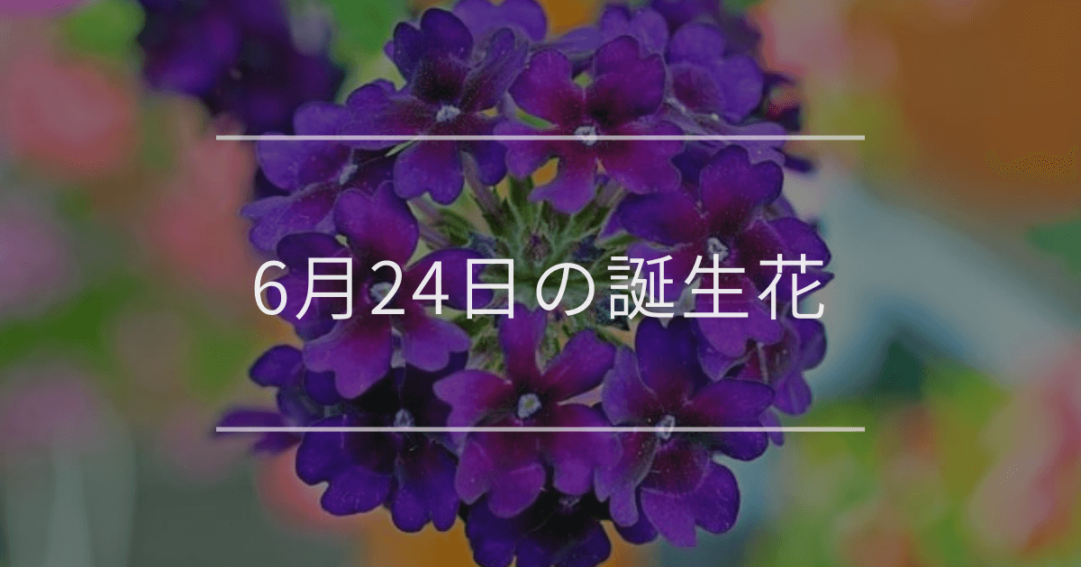 6月24日の誕生花