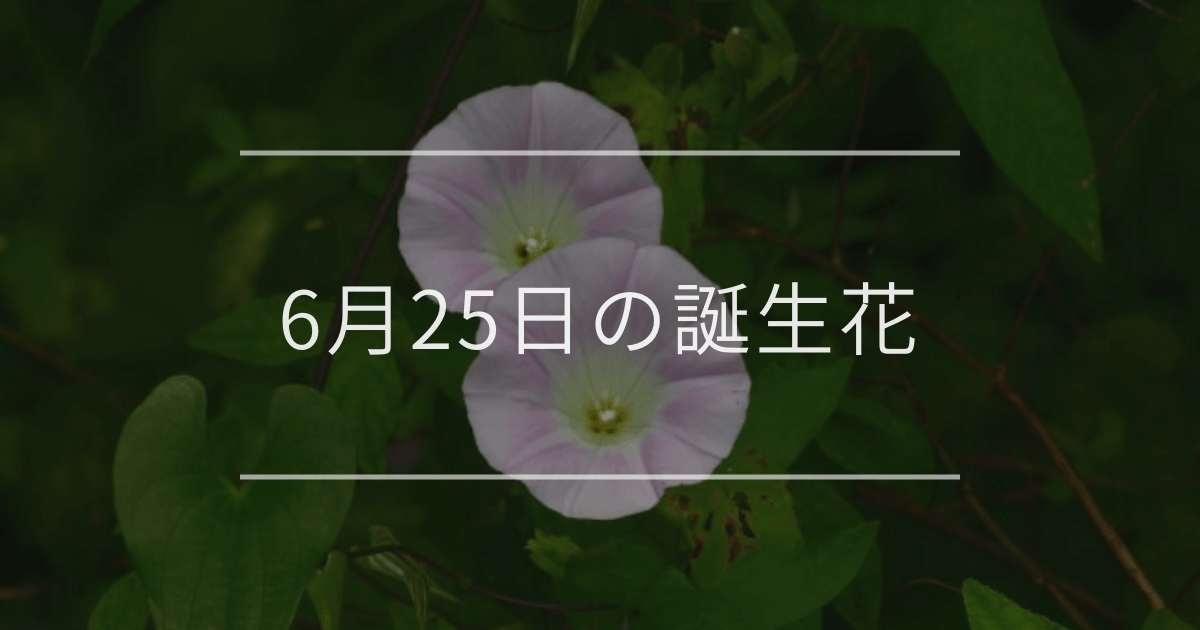 6月25日の誕生花