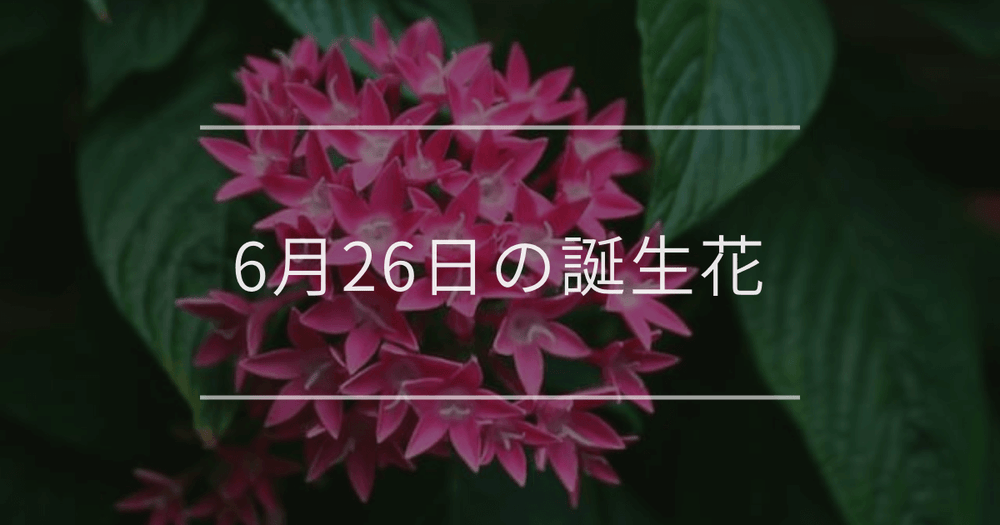 6月26日の誕生花：ペンタス・ガザニアの花言葉など