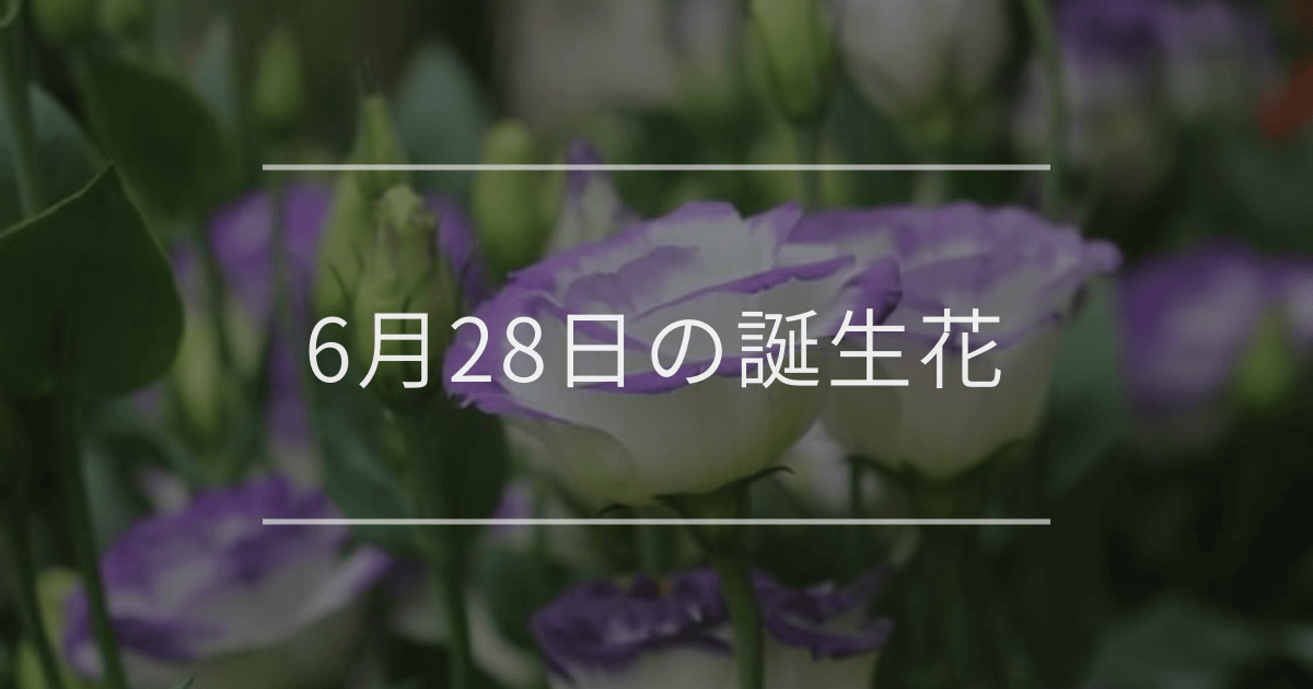 6月28日の誕生花