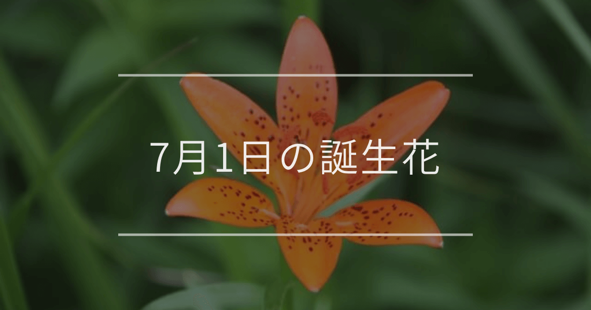 7月1日の誕生花